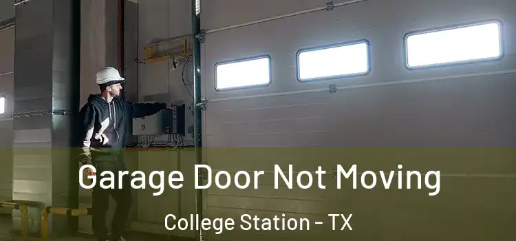  Garage Door Not Moving College Station - TX