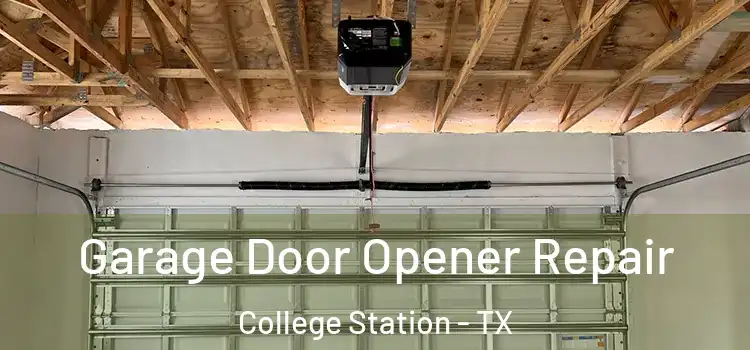  Garage Door Opener Repair College Station - TX