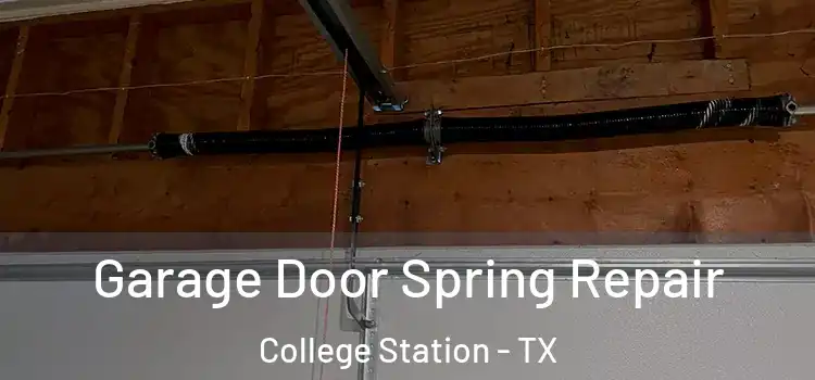  Garage Door Spring Repair College Station - TX
